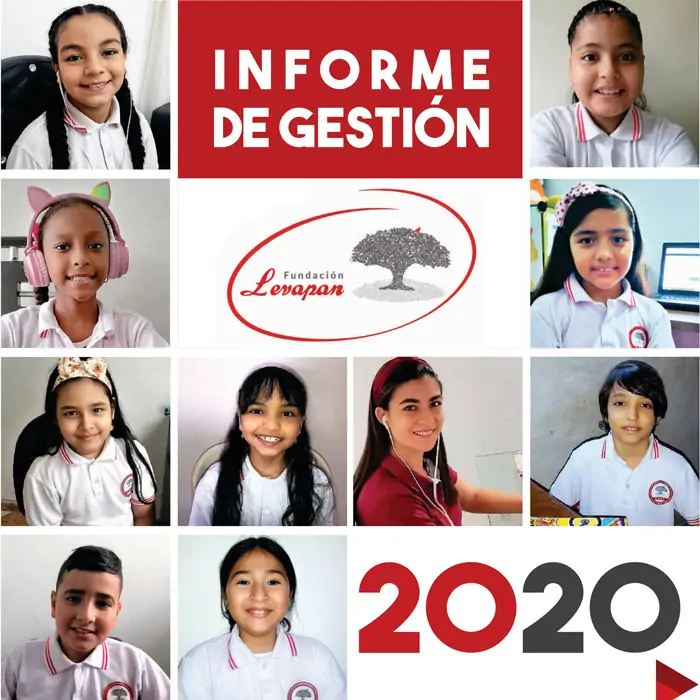 Informe de Gestión 2020